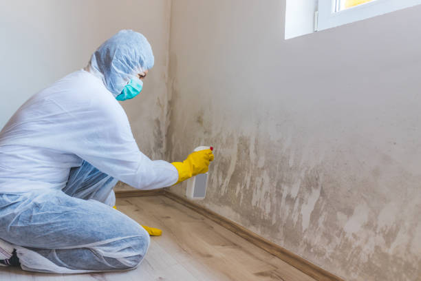 Black mold inspection in Saddle River