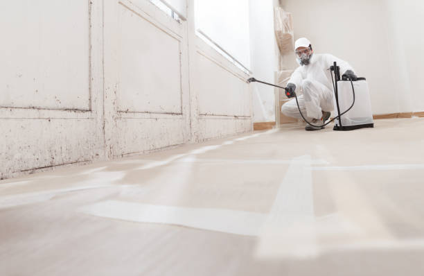 Black mold remediation team in Saddle River