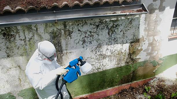 Mold Removal service in Saddle River
